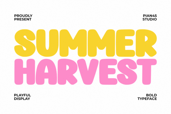 Summer Harvest: A Playful Bold Display Font for Warm Editorial Moments